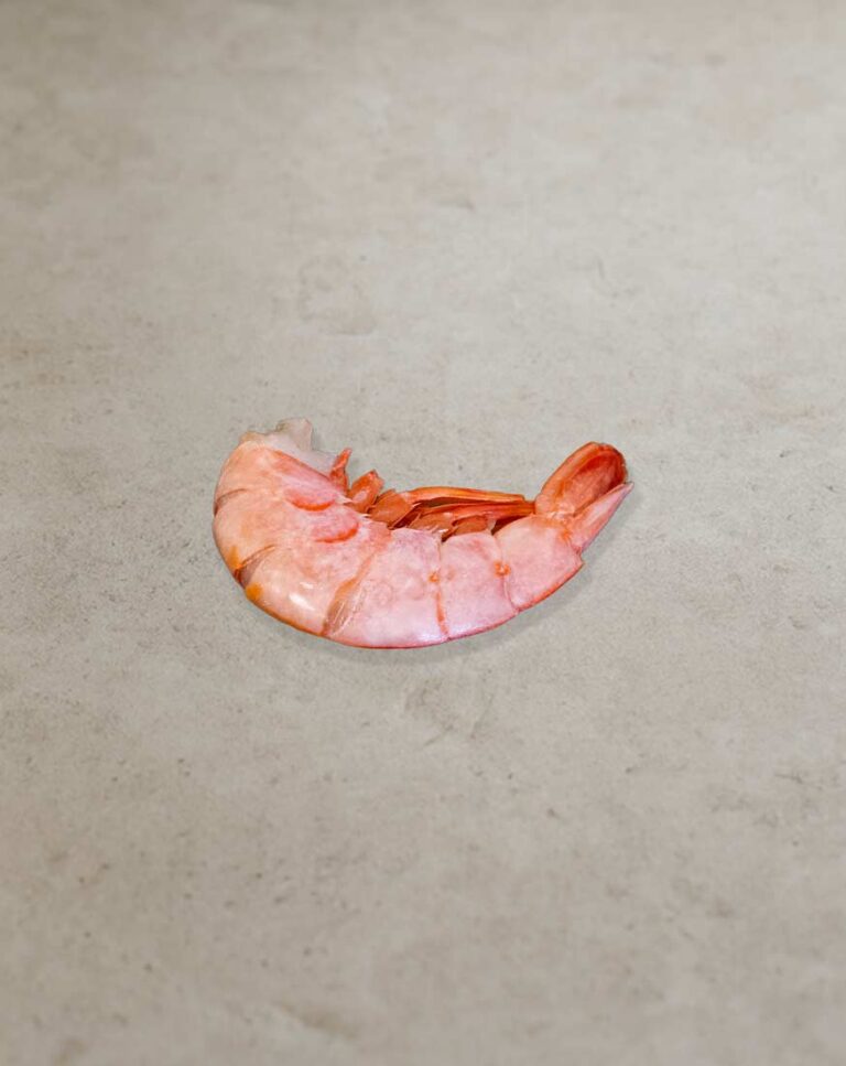 Argentinische Rotgarnelen für Gastronomie und professionelle Seafood-Gerichte