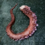 Pulpo A2 Block