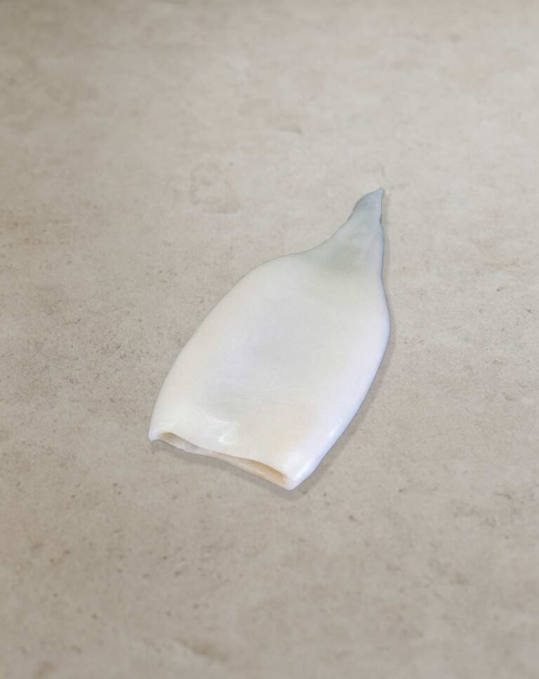 Tintenfischtuben für Gastronomie und professionelle Seafood-Gerichte