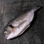 Doradenfilet 90/120g