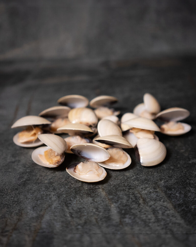 Venusmuscheln mit Schale (gekocht), natürlich präsentiert auf einer Schieferplatte für Gezer Kunden.