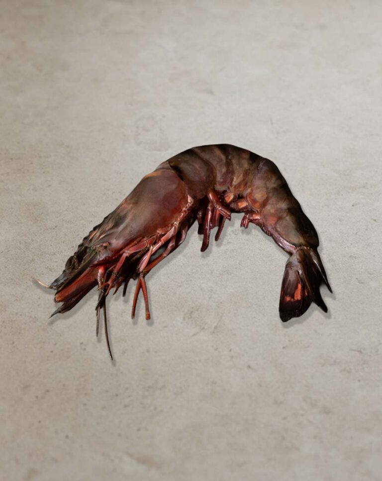 4/6 Gambas ungeschält mit Kopf und Schale