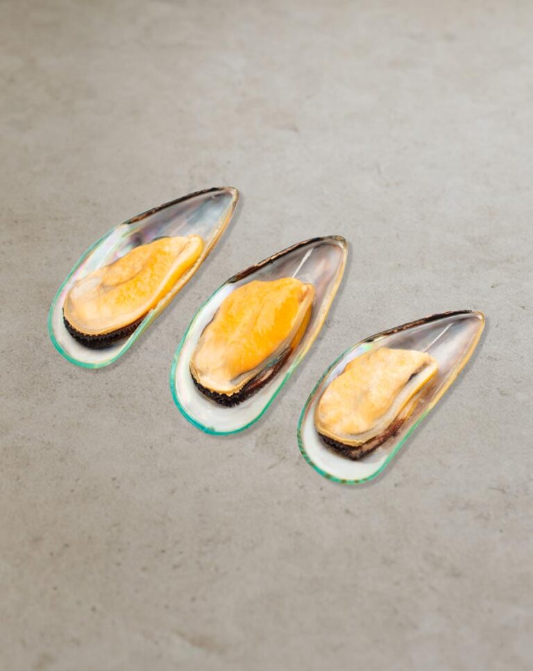 Grünschalenmuscheln für Gastronomie und professionelle Seafood-Gerichte