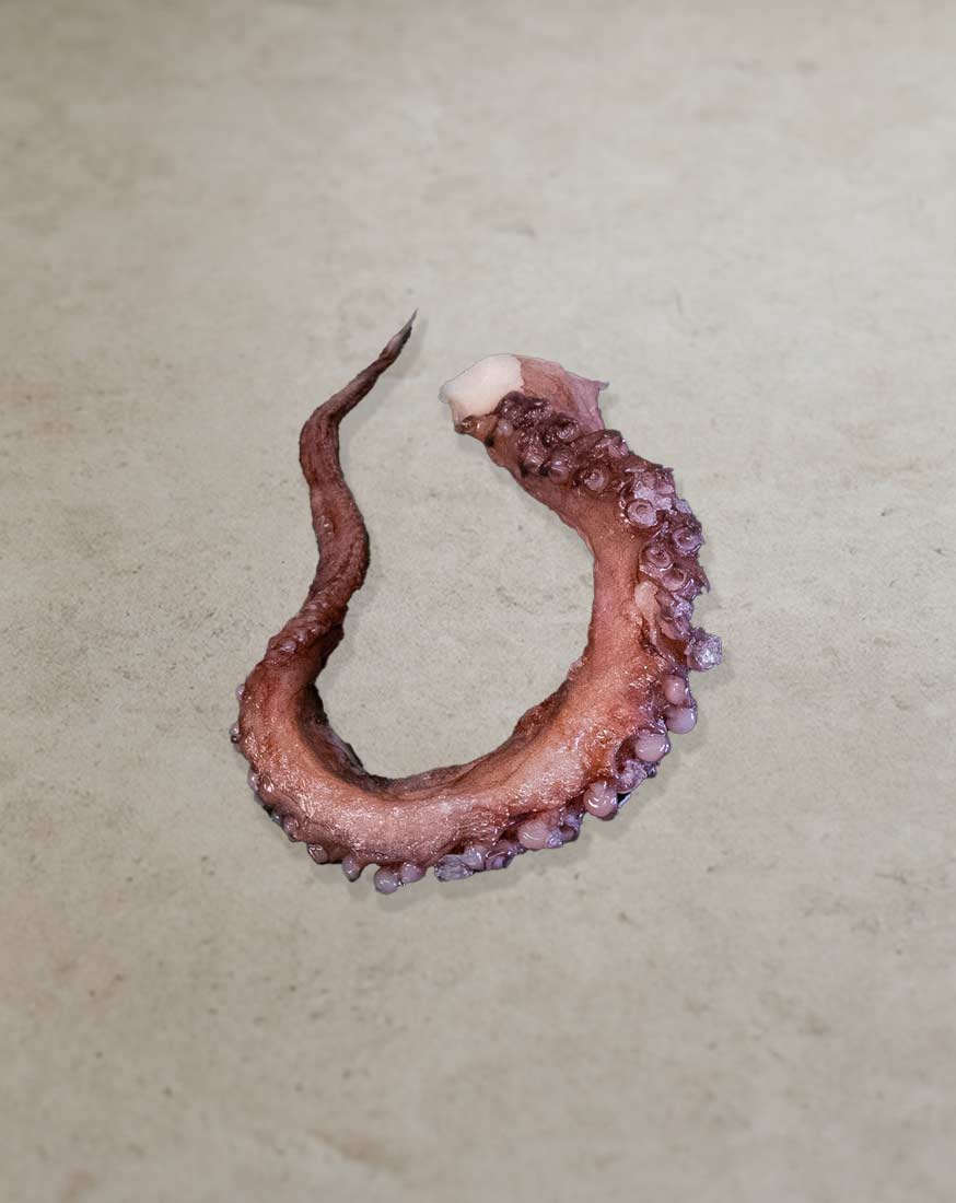 Pulpo-A2-Block Pulpo A2 Block für Gastronomie und professionelle Seafood-Gerichte