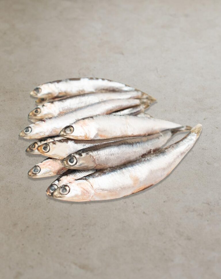 Sardellen für mediterrane Gerichte und professionelle Gastronomie
