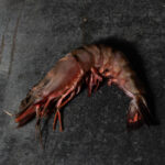 4/6 Gambas ungeschält, mit Kopf und Schale